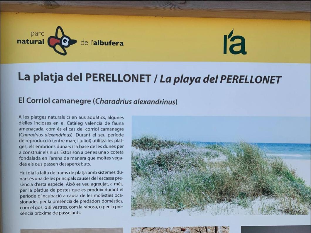 Beach Retreat Valencia Eksteriør bilde